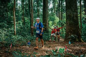 BIB: 
                            <button type="button" onclick="openModal(26135488)" class="btn btn-primary btn-sm float-right btn-popup" data-toggle="modal" data-target=".modal-high-quality">
                        <i class="fas fa-shopping-cart"></i> Add to Cart
                    </button>
                                            <button type="button" onclick="isThisMe(26135488, true)" class="btn btn-success btn-sm float-right btn-popup btn-isme hidden" data-toggle="tooltip" data-placement="bottom" title="นี่คือรูปของคุณใช่ไหม คลิกที่นี่เพื่อเอาเข้าอัลบั้ม">
                        <i class="fas fa-plus"></i> Add to album
                    </button>
                    <button type="button" onclick="isThisMe(26135488, false)" class="btn btn-warning btn-sm float-right btn-popup btn-isnotme hidden">
                        <i class="fas fa-ban"></i> Remove from album
                    </button>